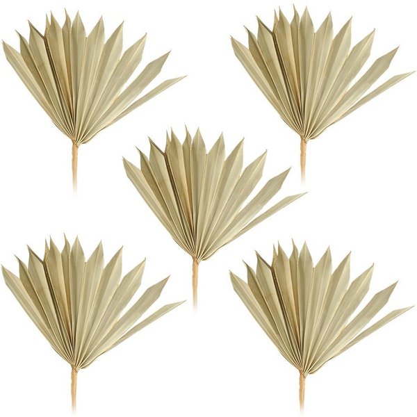 matches21 HOME & HOBBY Bilderrahmen Palmsonnen Naturdeko Bastelmaterial natur 5er Set 11-22 cm, (5 St)