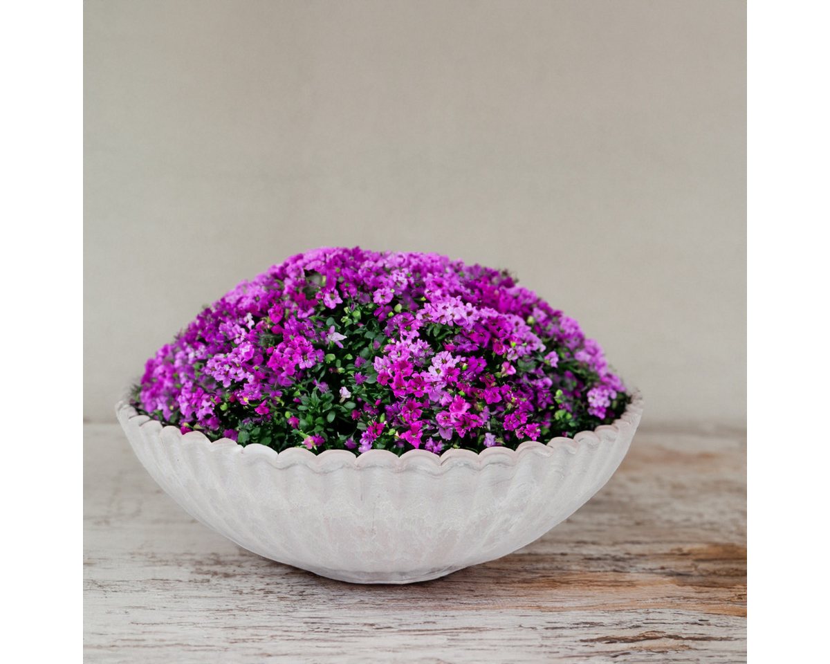 matches21 HOME & HOBBY Blumentopf Dekoschale runde Pflanzschale für draussen grau marmoriert 22 cm (1 St), Blumen-Schale als wetterfeste Friedhof-Schale Grab-Sc – Bild 3 von 5