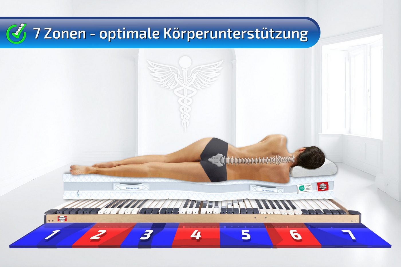 Lattenrost Lattenroste, 44 Leisten, mit 7 Zonen, MONTIERT bis 300 KG belastbar, Matratzen Perfekt, Kopfteil nicht verstellbar, Fußteil nicht verstellbar, stabil – Bild 2 von 5