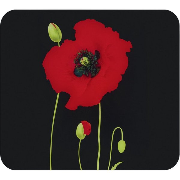 Maximex Herd-Abdeckplatte Multi Modell Mohn, Glas, Spritzschutz, Herdblende, Schneidbrett, für Glaskeramik-Kochfelder