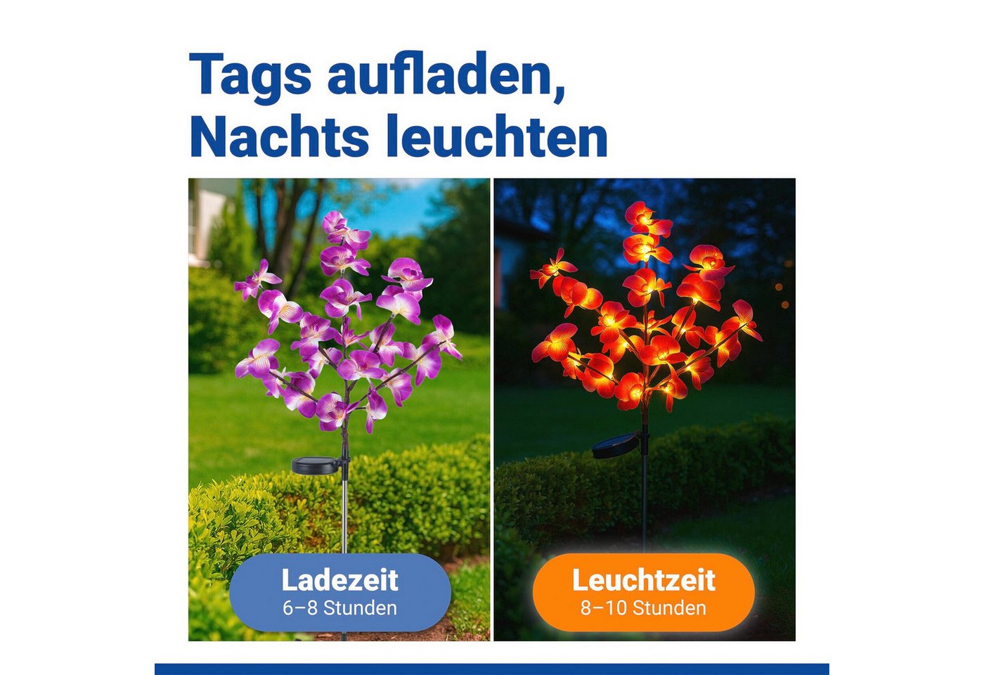 Maximex LED Gartenleuchte Modell Orchidee, Ein-/Ausschalter, LED fest integriert, Extra-Warmweiß, LED Gartenstecker, solarbetriebene Gartenbeleuchtung, 2 Einste – Bild 4 von 5