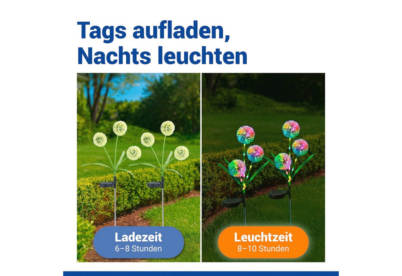 Maximex LED Gartenleuchte Modell Pusteblume, Ein-/Ausschalter, Farbwechsel, LED fest integriert, Farbwechsler, LED Gartenstecker, solarbetriebene Gartenbeleucht – Bild 4 von 5