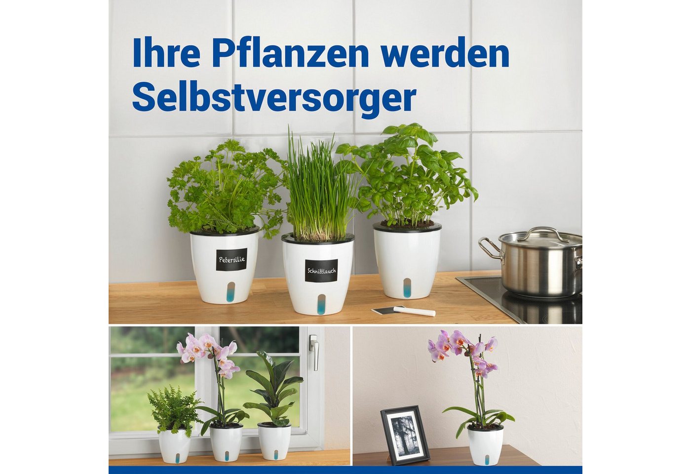 Maximex Pflanzschale Selbstbewässernde Pflanztöpfe (Set, 3 St), 13x13,5 cm, mit Wasserstandsanzeige – Bild 3 von 5