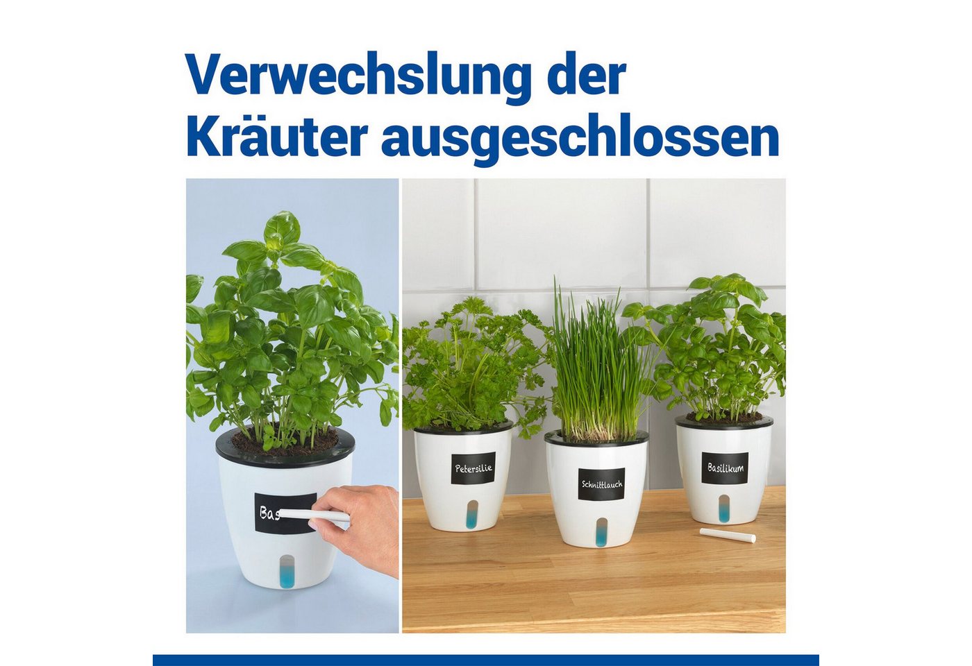 Maximex Pflanzschale Selbstbewässernde Pflanztöpfe (Set, 3 St), 13x13,5 cm, mit Wasserstandsanzeige – Bild 4 von 5