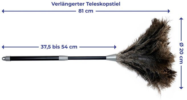 Maximex Staubwedel Straußenfeder Staub-Magnet, Staubbesen mit 100% echten Straußenfedern, ausziehbarer Teleskopstiel – Bild 3 von 5