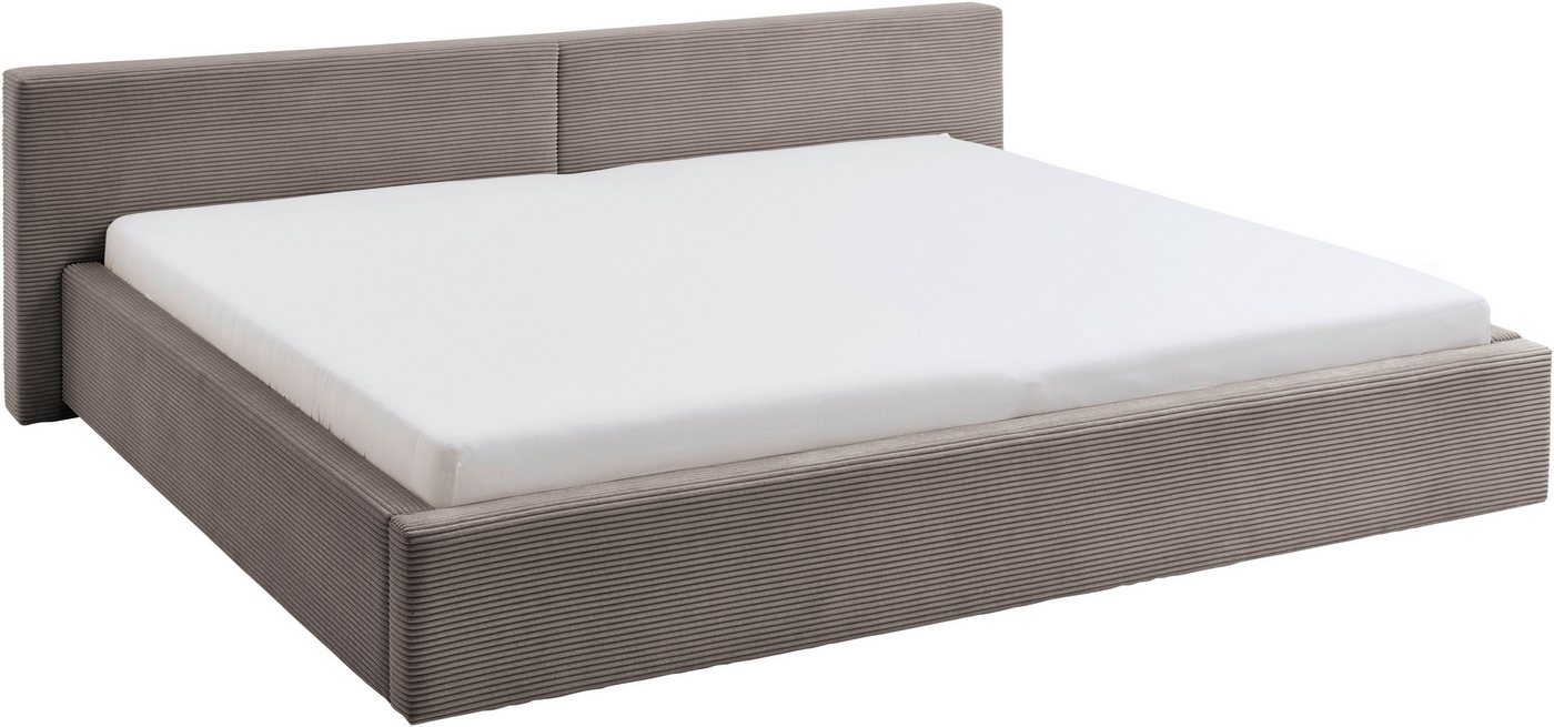 meise.möbel Polsterbett CUBE in Cord, Familienbett 240x200cm, wahlweise mit Lattenrost, verschiedene Farben erhältlich – Bild 3 von 5