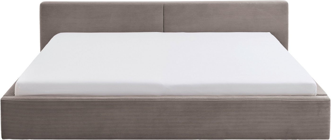 meise.möbel Polsterbett CUBE in Cord, Familienbett 240x200cm, wahlweise mit Lattenrost, verschiedene Farben erhältlich – Bild 4 von 5