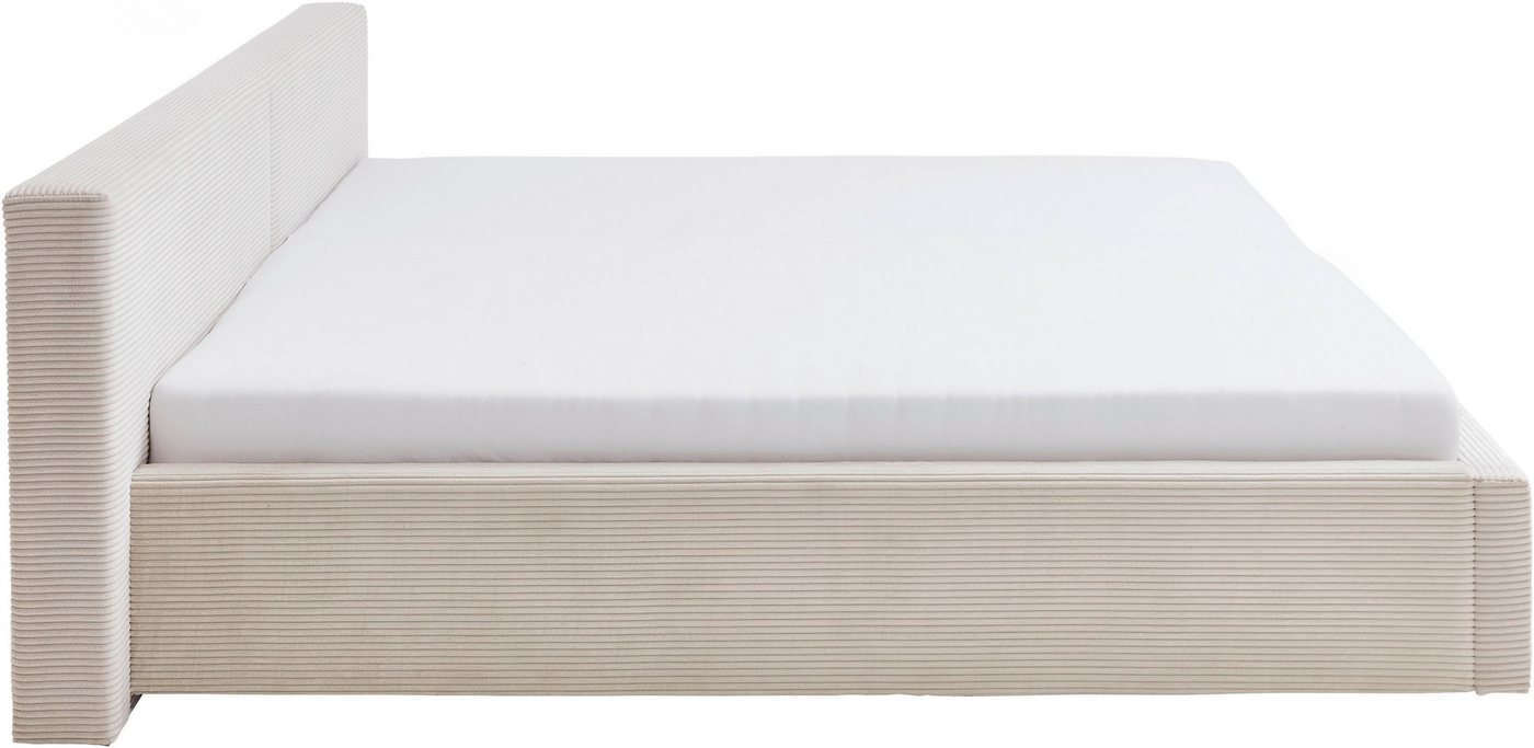 meise.möbel Polsterbett CUBE in Cord, Familienbett 240x200cm, wahlweise mit Lattenrost, verschiedene Farben erhältlich – Bild 5 von 5