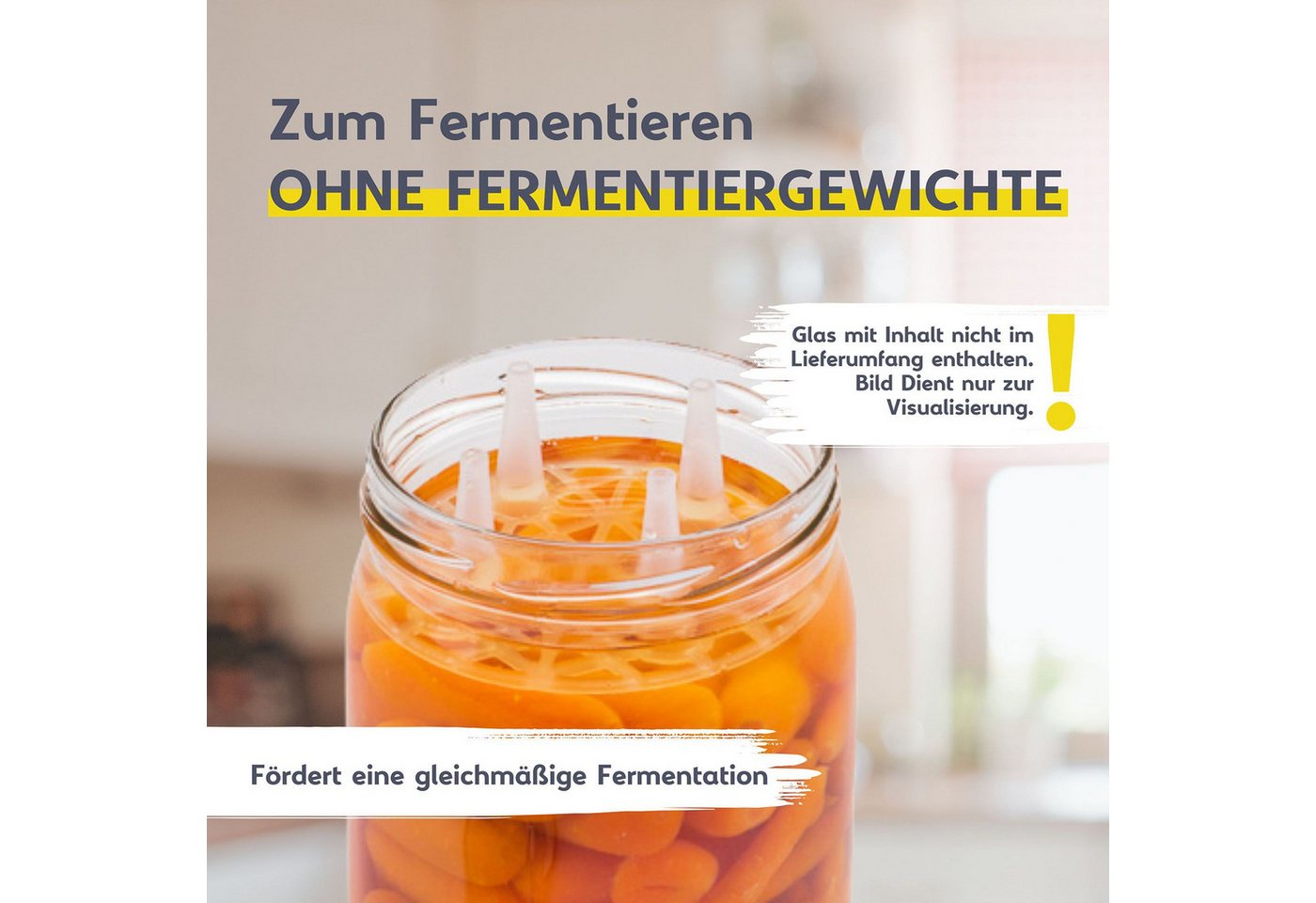 mikken Fermentationsdeckel Fermentiergitter Eintauchgitter Ø 10,5 cm passend für TO100 Gläser, (Spar-Set, 6-tlg), PVC-frei, Ø 10 cm, Öffnung 90-94 mm – Bild 4 von 5