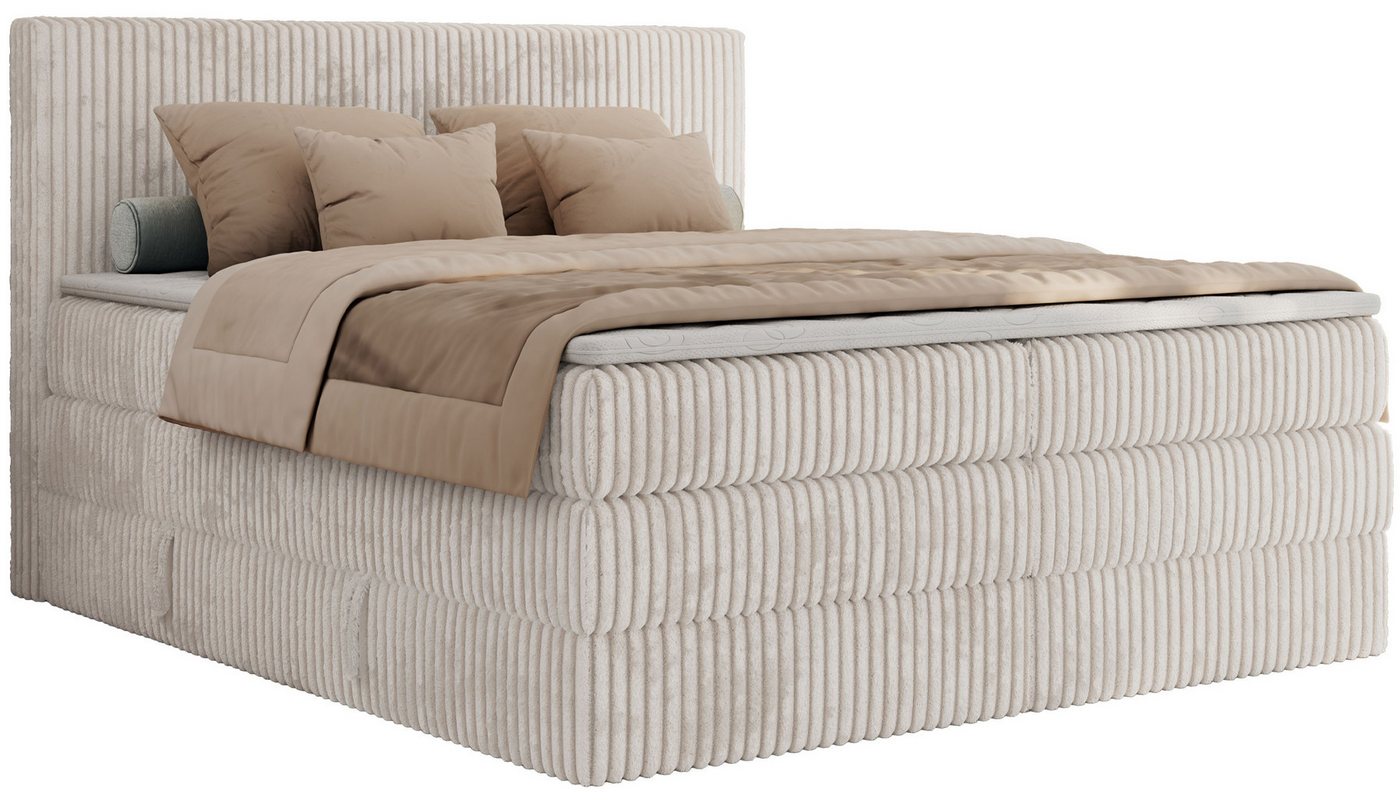 MKS MÖBEL Boxspringbett TILIANO KING (Packung, Set, Topper T25, Doppelbett, T30-Schaum), Polsterbett mit Multipocket-Matratzen, Cord Bett, Zwei Bettkästen – Bild 2 von 5