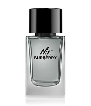 Burberry Mr. Burberry Eau de Toilette · 100 ml