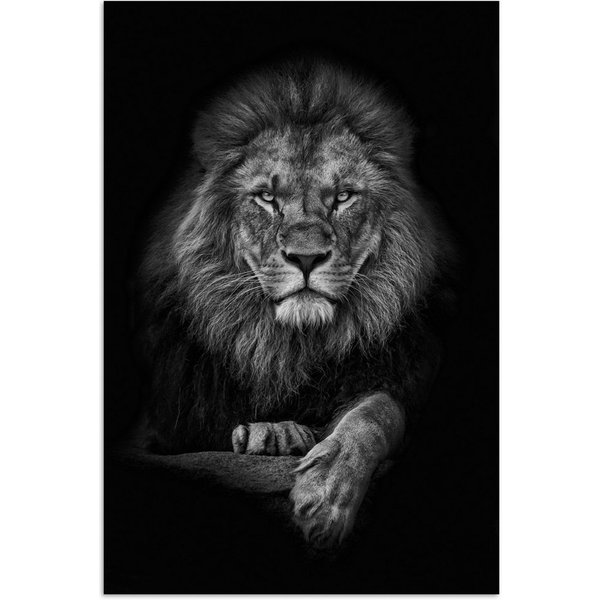 MuchoWow Poster Löwe - Tiere - Schwarz - Weiß, (1 St), Poster ohne Rahmen, Wandbild, Wandposter, 20x30 cm