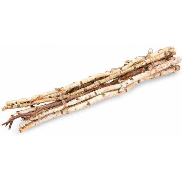 NaDeco Bastelnaturmaterial Birkenzweige, Natur, 100 cm, 10 Stück Dekoäste Bodenvase
