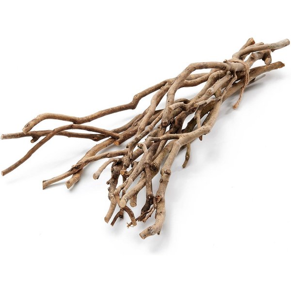 NaDeco Bastelnaturmaterial Tee Busch Zweige, Natur, 50 cm Camellia sinensis