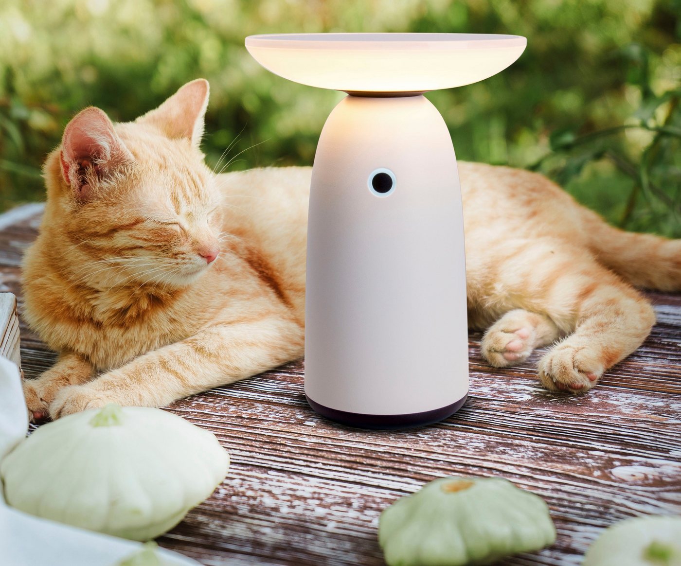 näve LED Solarleuchte Ada, LED fest integriert, Warmweiß, Stufenweise dimmbar, inkl. USB-C-Kabel (Batterien= – Bild 2 von 5