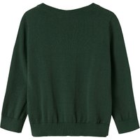 Name It Pullover Dinos