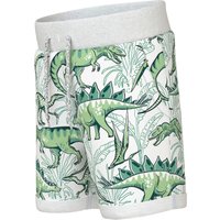 Name It Sweat-Bermuda Dinos
