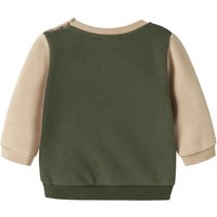 Name It Sweatshirt Bär Colorblock
