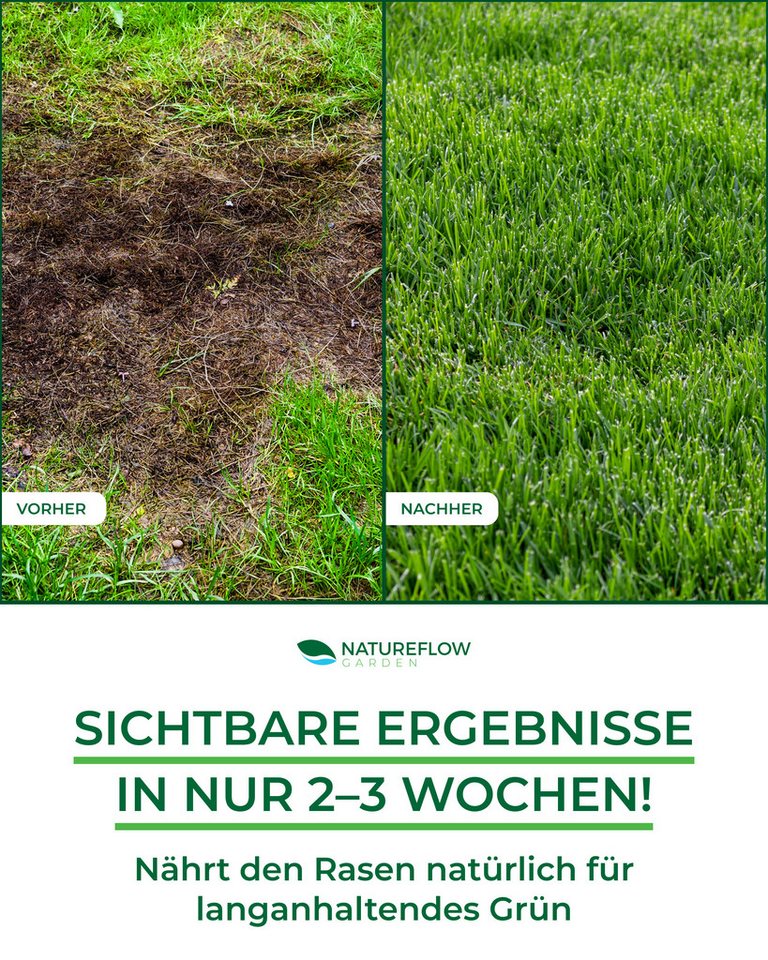 Natureflow Rasendünger Bio, 100% organisch, NPK 7+2,5+1, 2,5 kg/100 m², Frühjahr, Einzelartikel – Bild 3 von 5