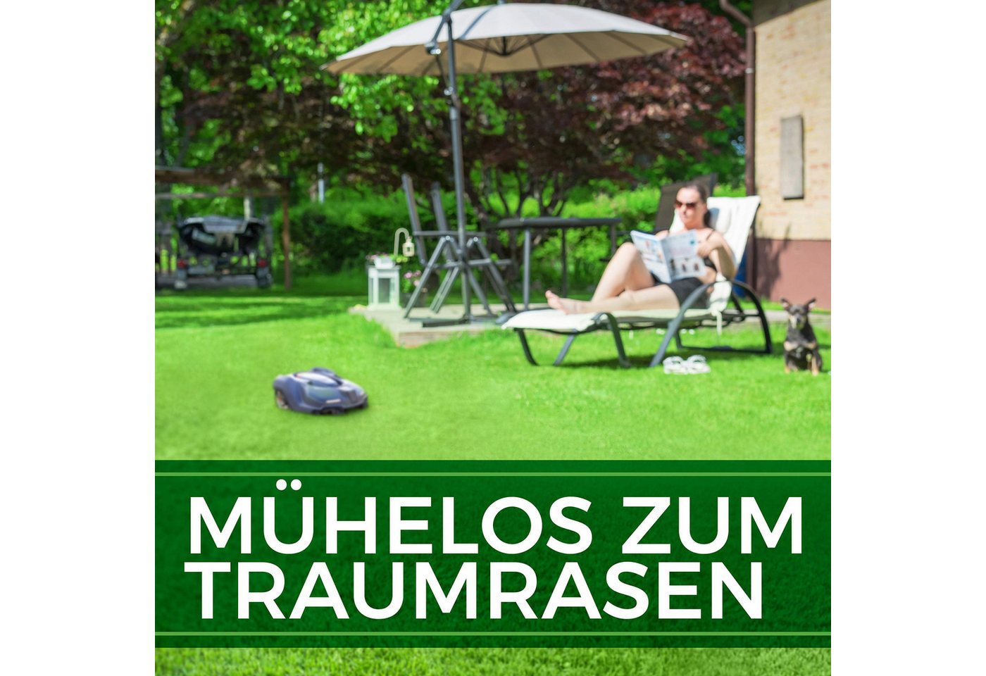 Natureflow Rasensamen schnellkeimend, selbstdüngend, TEST SEHR GUT, 100% Keimgarantie, 10 kg, 10 kg – Bild 4 von 5