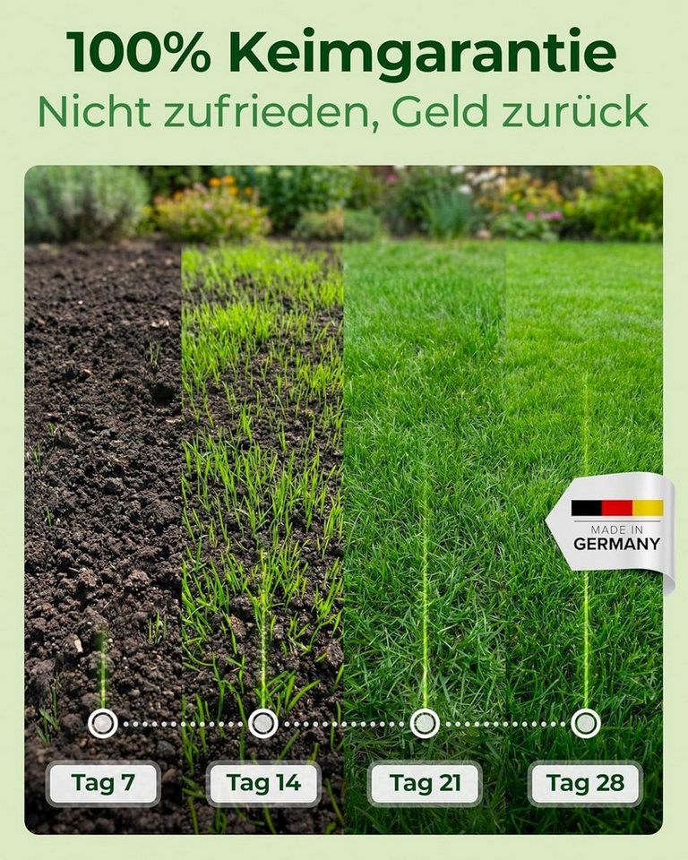 Natureflow Rasensamen schnellkeimend, TEST SEHR GUT, 100% Keimgarantie, 1 kg/40 m², 1 kg, Trittfester Sport und Spielrasen mit dichtem Wuchs gegen Unkraut – Bild 3 von 5