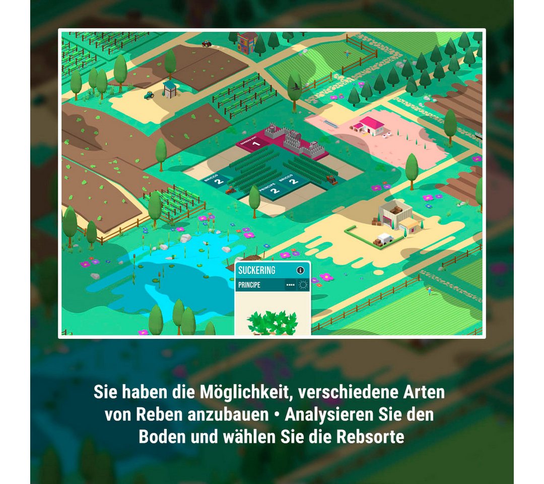 Hundred Days - Wine Making (Blu-ray Disc), PlayStation 5 – Bild 3 von 5