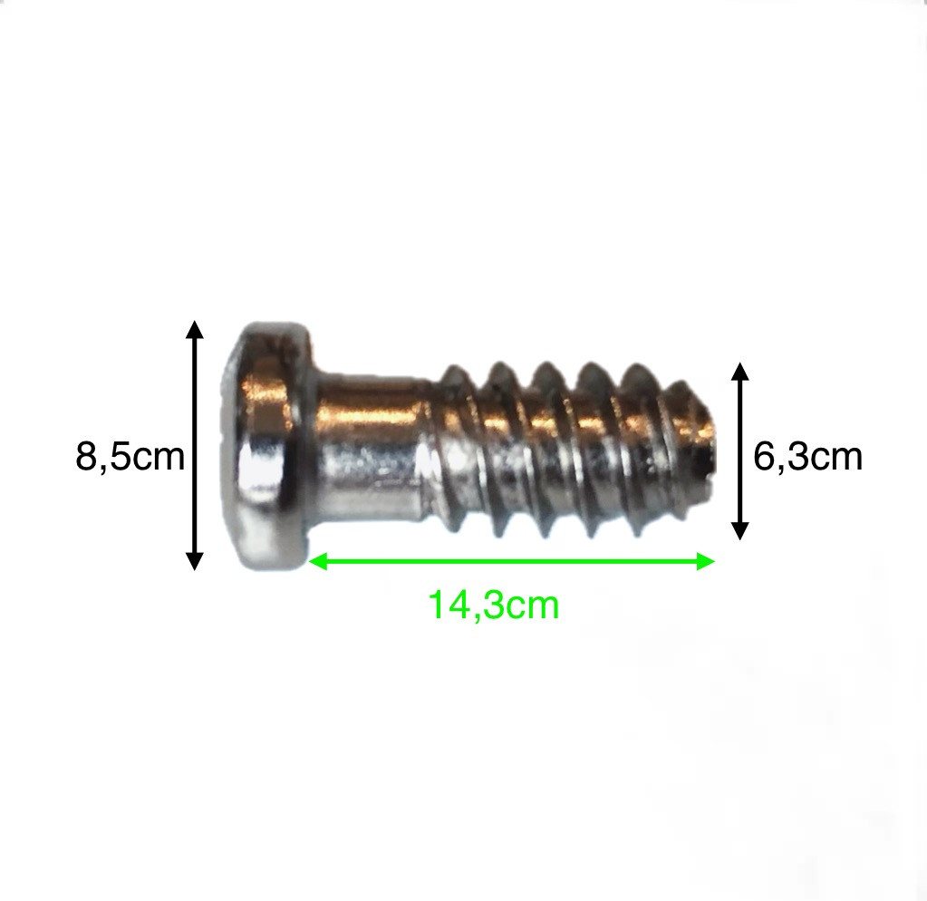 NELI Schrauben-Set Euroschrauben, Möbelschrauben, Maße 6,3 x 16 mm, Rundkopf, (50 St) – Bild 3 von 4