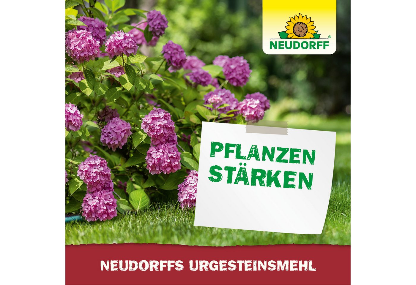 Neudorff Bodenverbesserer UrgesteinsMehl 10 kg, Zur Remineralisierung und Verbesserung ausgelaugter Böden, Bodenhilfsstoff für Garten, Rasen & Kompost bis 100 m – Bild 2 von 3