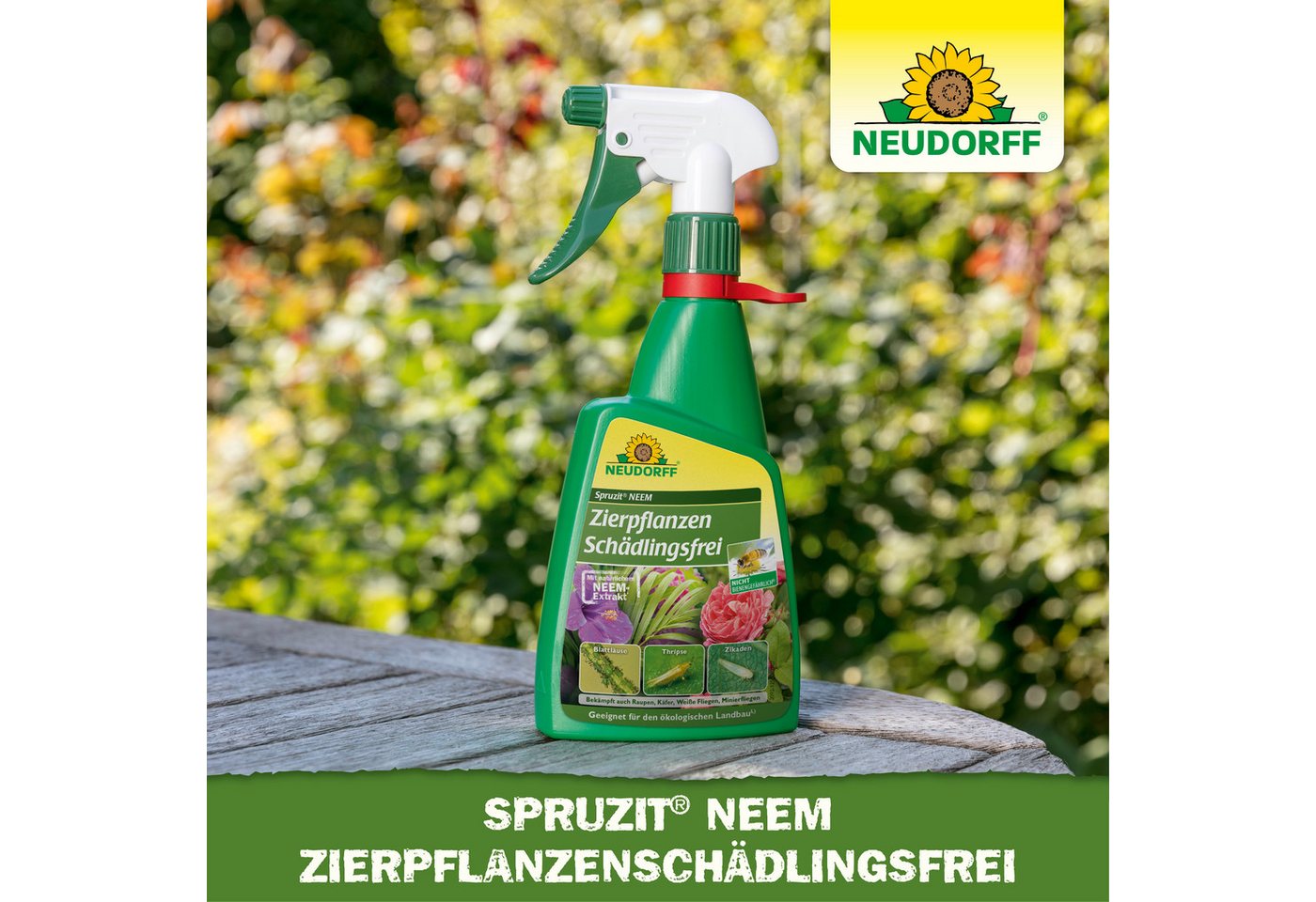 Neudorff Insektenspray Spruzit NEEM ZierpflanzenSchädlingsfrei 450 ml, 0.45 l, Für Zierpflanzen in Haus, Garten, Gewächshaus & Balkon, Anwendungsfertiges Spray  – Bild 5 von 5