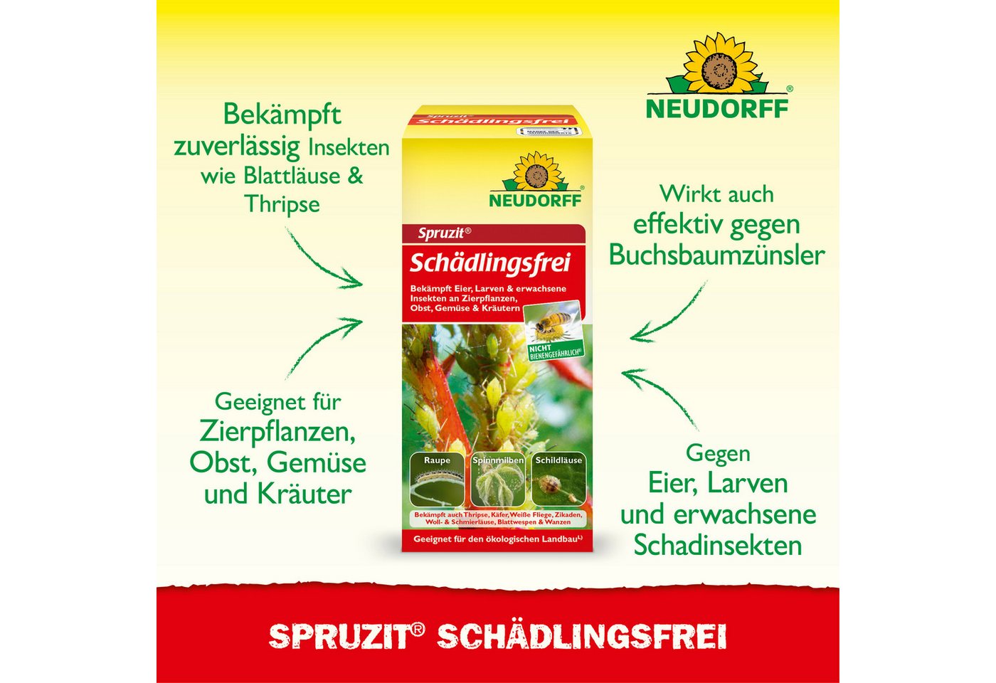 Neudorff Insektenspray Insektenspray Spruzit Schädlingsfrei 50 ml Konzentrat, 50 ml, Für Zierpflanzen, Obst & Gemüse in Haus und Garten, Konzentrat gegen zahlre – Bild 2 von 5