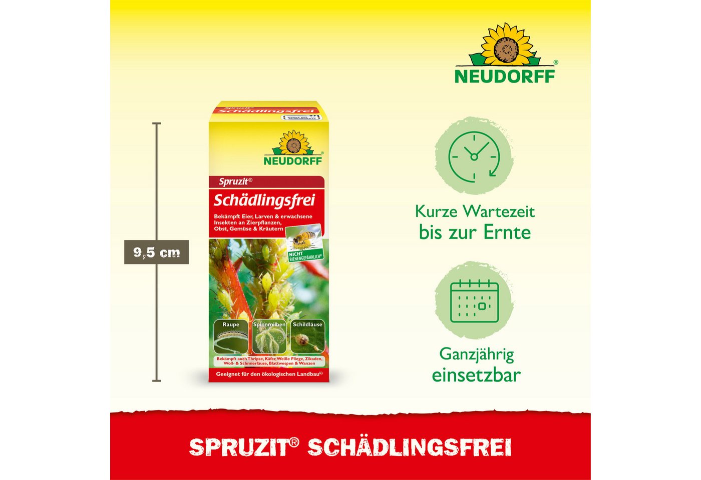 Neudorff Insektenspray Insektenspray Spruzit Schädlingsfrei 50 ml Konzentrat, 50 ml, Für Zierpflanzen, Obst & Gemüse in Haus und Garten, Konzentrat gegen zahlre – Bild 3 von 5