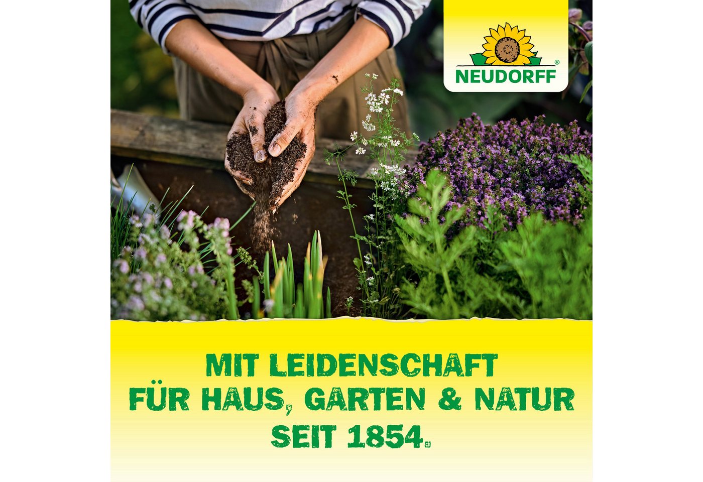 Neudorff Rasendünger Azet, Granulat gleichmäßig auf trockenem Rasen verteilen und anschließend bei Bedarf gründlich wässern., mit 6 Monaten Langzeitwirkung, Auc – Bild 3 von 3
