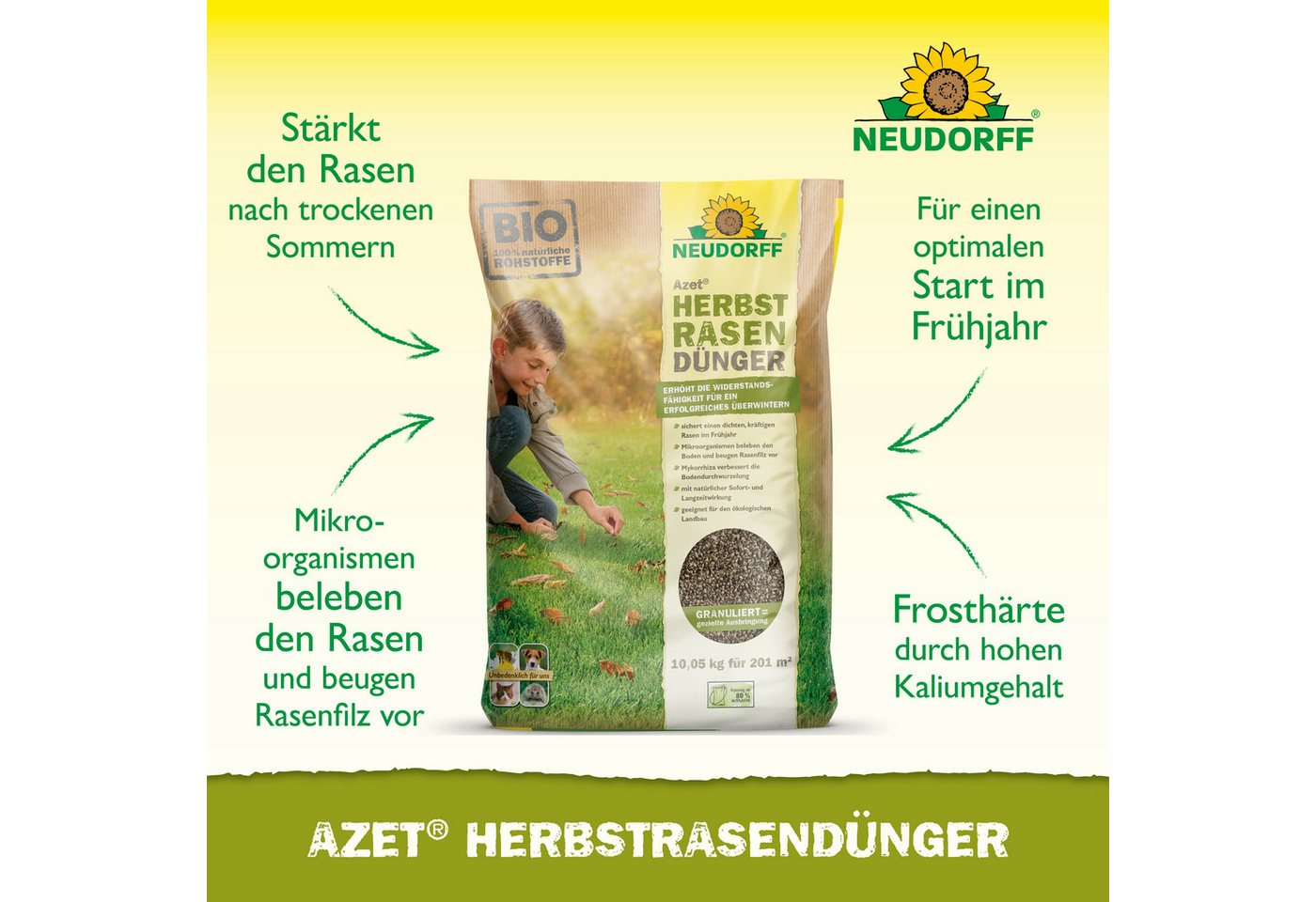 Neudorff Rasendünger Azet HerbstRasenDünger, Mit Eisen zur Herbstpflege und Vorbereitung auf die kalte Jahreszeit, 10,05 kg NPK 7-3-10 für bis zu 200 m², Mit Ei – Bild 2 von 5