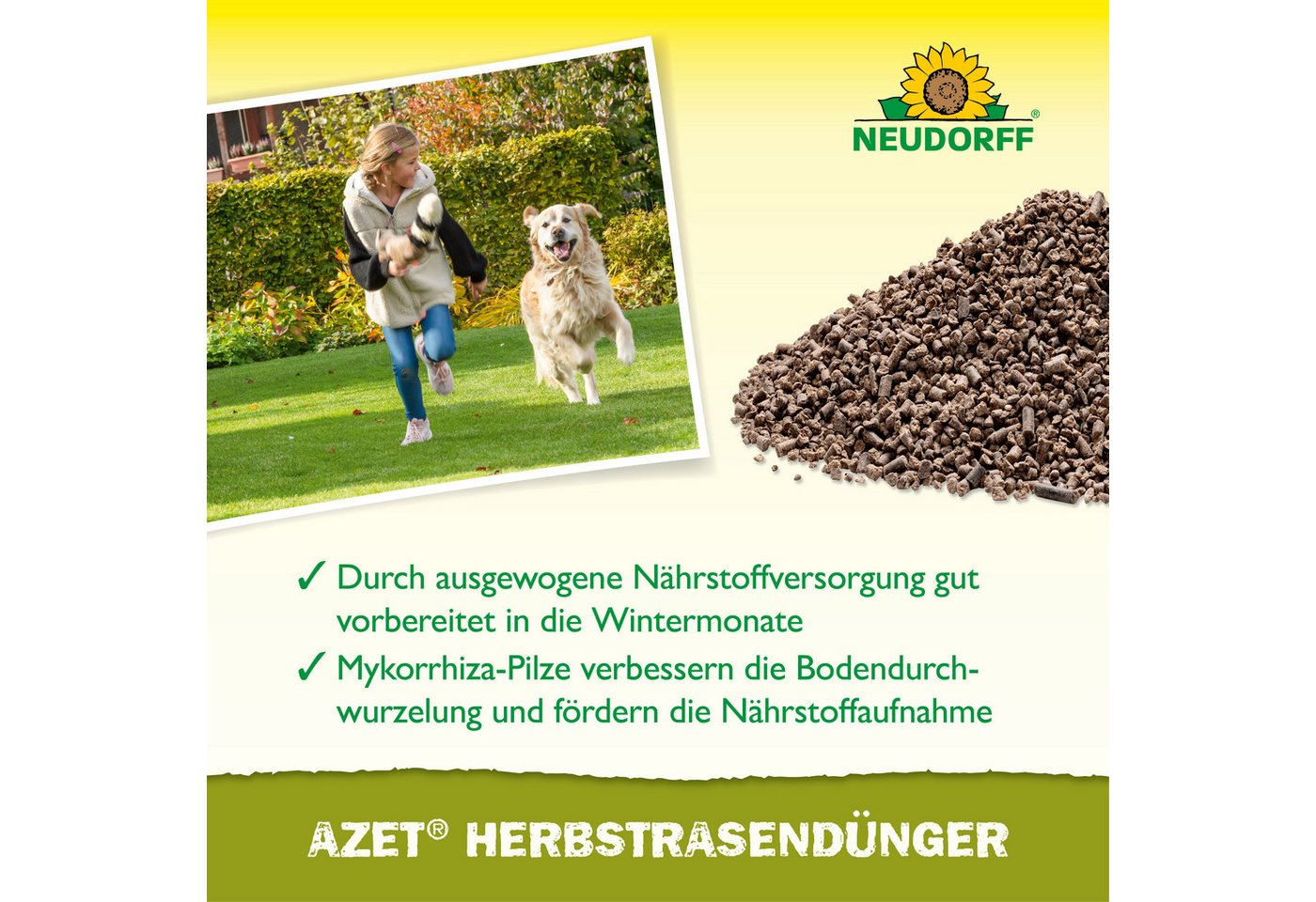 Neudorff Rasendünger Azet HerbstRasenDünger, Mit Eisen zur Herbstpflege und Vorbereitung auf die kalte Jahreszeit, 10,05 kg NPK 7-3-10 für bis zu 200 m², Mit Ei – Bild 4 von 5