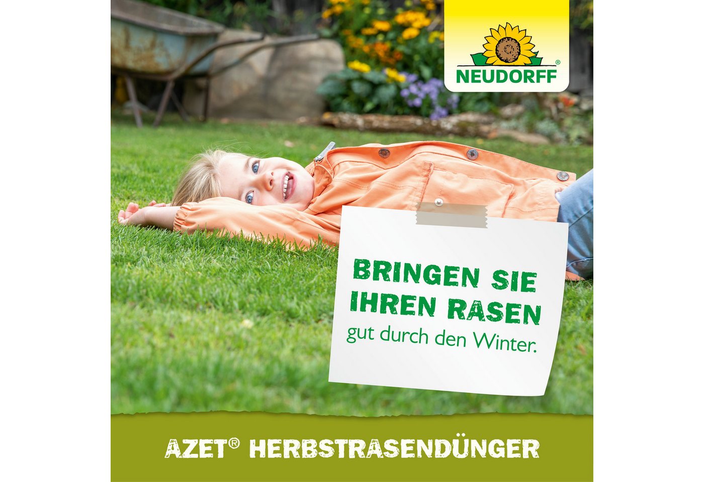 Neudorff Rasendünger Azet HerbstRasenDünger, Mit Eisen zur Herbstpflege und Vorbereitung auf die kalte Jahreszeit, 10,05 kg NPK 7-3-10 für bis zu 200 m², Mit Ei – Bild 5 von 5