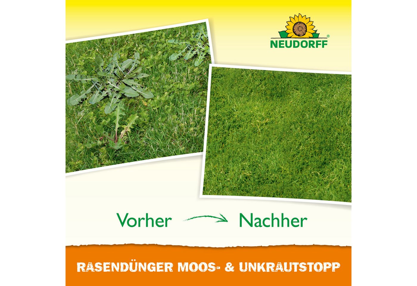 Neudorff Rasendünger RasenDünger Moos- & UnkrautStopp 2,5 kg, Feines Granulat für gleichmäßige Ausbringung, Organisch-mineralischer NPK-Dünger mit 2,3 % Eisen,  – Bild 2 von 4