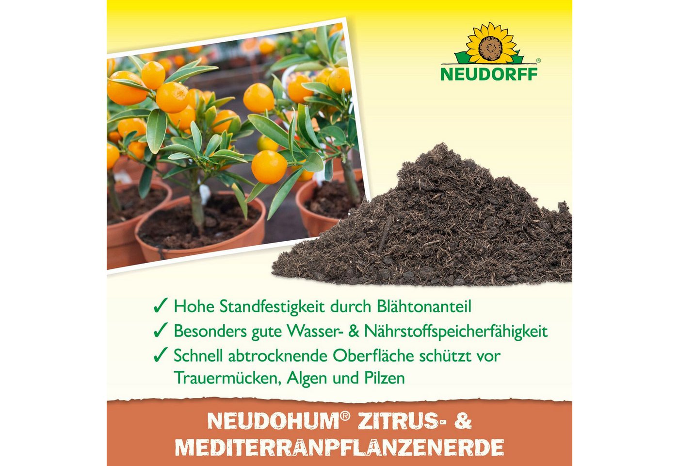 Neudorff Spezialerde Neudohum Mediterranpflanzen- und PalmenErde 10 Liter – Bild 4 von 5