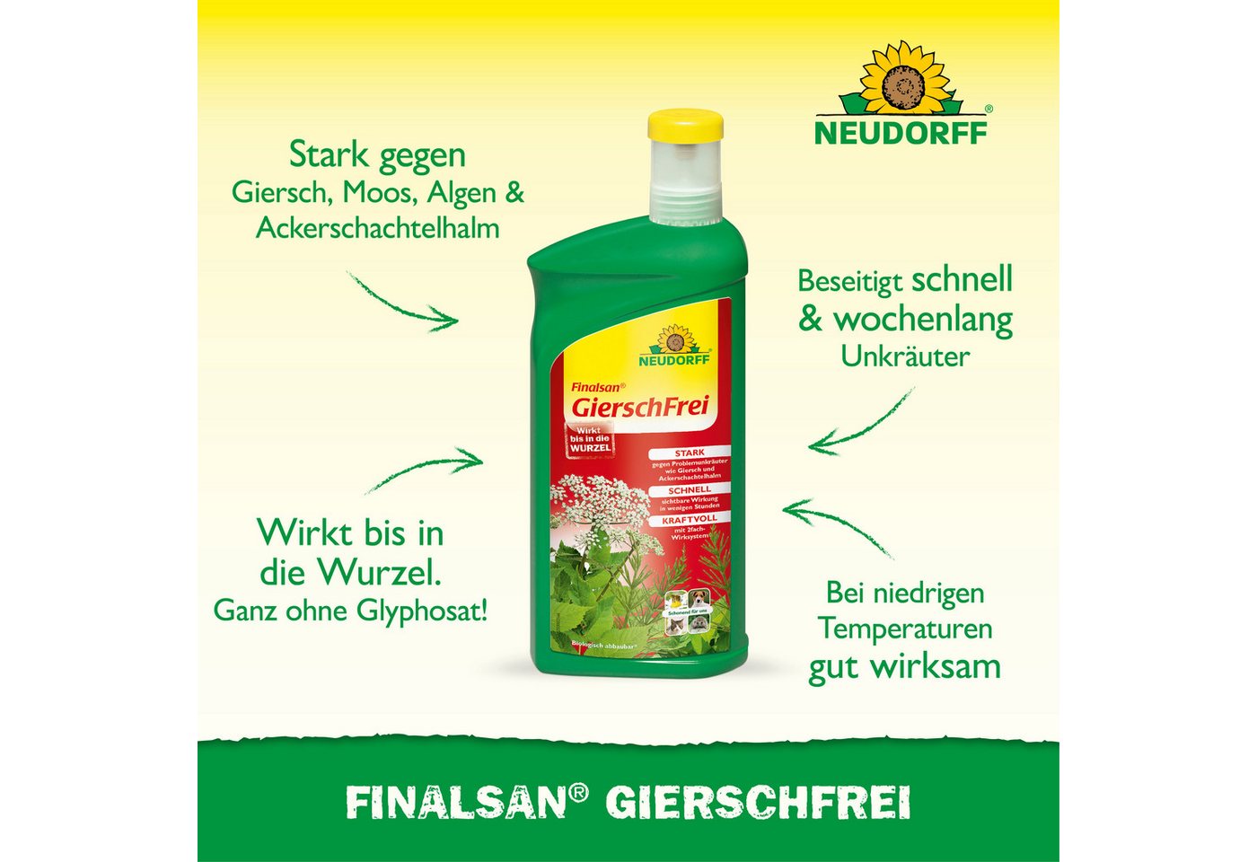 Neudorff Unkrautbekämpfungsmittel Finalsan AF GierschFrei, 1000 ml, 1 St., Konzentrat mit 2-fach-Wirksystem gegen Problemunkräuter, Schnell wirkend, gegen Giers – Bild 2 von 5