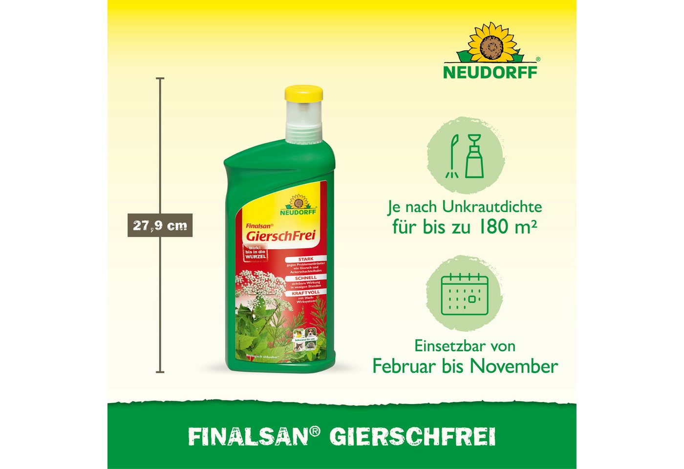 Neudorff Unkrautbekämpfungsmittel Finalsan AF GierschFrei, 1000 ml, 1 St., Konzentrat mit 2-fach-Wirksystem gegen Problemunkräuter, Schnell wirkend, gegen Giers – Bild 3 von 5