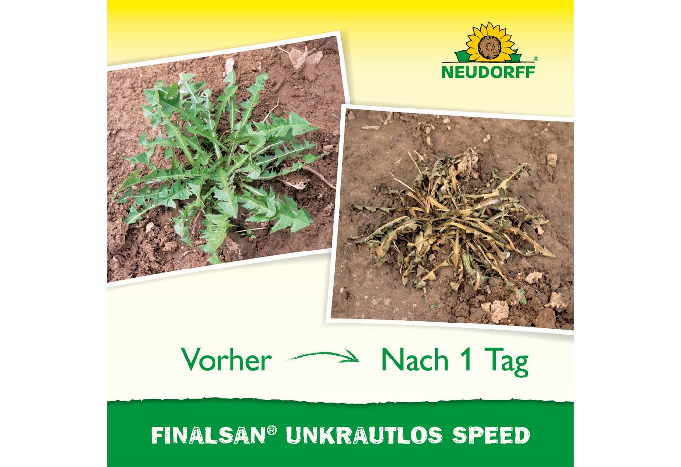 Neudorff Unkrautbekämpfungsmittel Finalsan UnkrautLos Speed 1 Liter, 1 St., ohne Glyphosat! gegen Unkraut, Moos und Algen, Schnell wirkender Unkrautvernichter,  – Bild 5 von 5