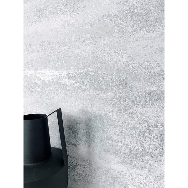 Newroom Vliestapete Zane Silver Tapete Putzoptik Putzoptik,Beton,Zement, Silber Tapete Modern Putzoptik - Putzoptik Betonoptik Grau Industrial Bauhaus Beton Zem