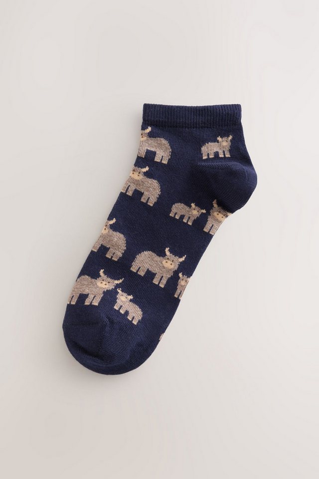 Next Basicsocken 5er-Pack Sneakersocken, Hochlandrind Hamish (5-Paar) – Bild 2 von 5