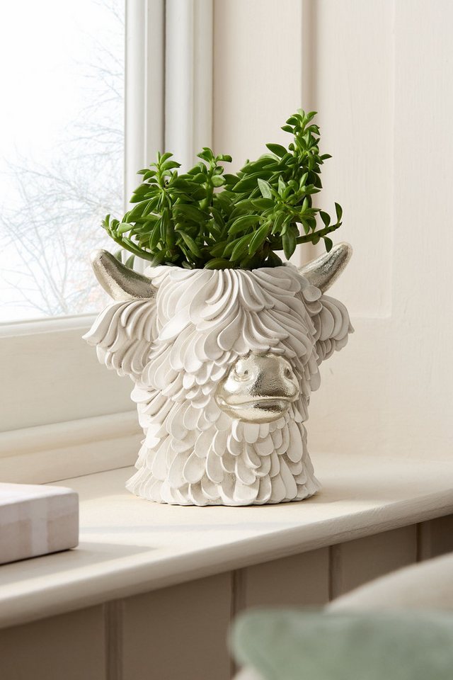 Next Dekovase Vase in Kopfform, Hochlandrind Hamish – Bild 4 von 4