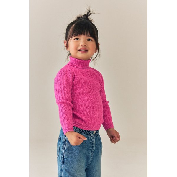 Next Strickpullover Rollkragenpullover (1-tlg)