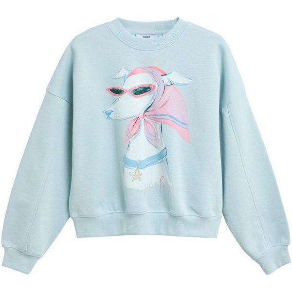Next Sweater Rundhalssweatshirt mit Grafik, Hund (1-tlg)