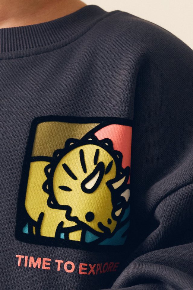 Next Sweater Sweatshirt mit Rundhalsausschnitt und Print (1-tlg) – Bild 3 von 5