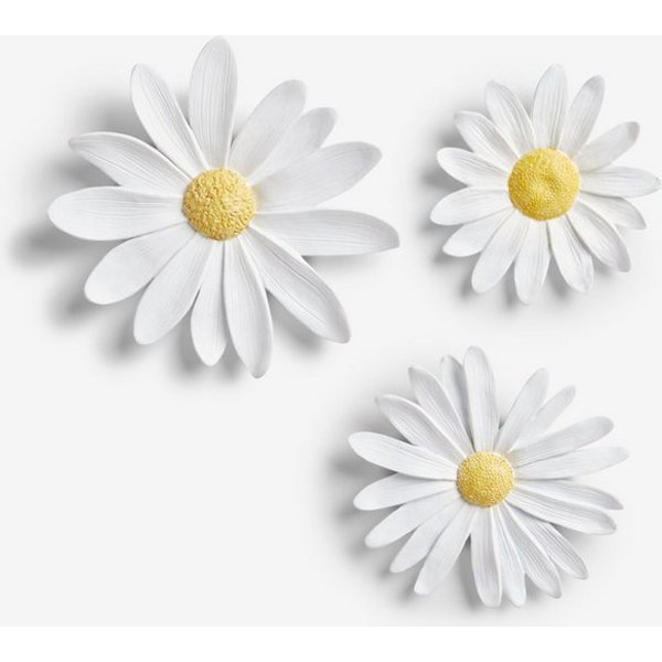 Next Wanddekoobjekt Wandkunst Gänseblümchen, 3er-Set
