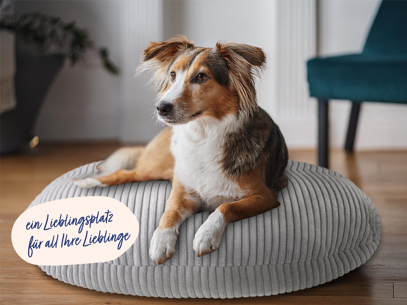 Nightlife Sitzkissen, Bodenkissen, Yogakissen, Tierkissen, viele Einsatzmöglichkeiten, zwei unterschiedliche Größen – Bild 4 von 5