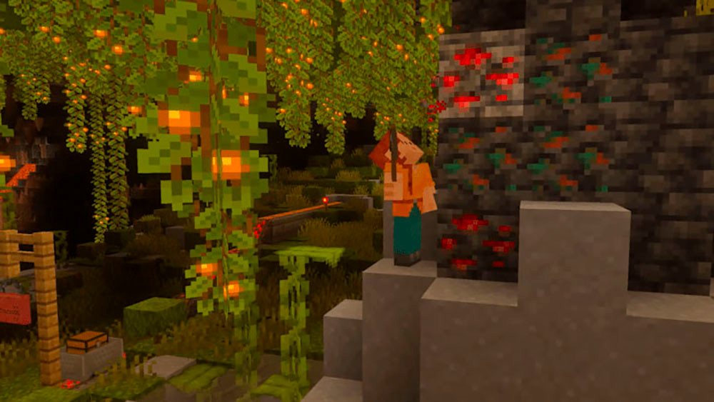 Minecraft (Softwarekarte), Nintendo Switch 2 – Bild 3 von 5