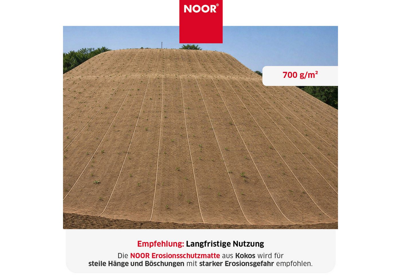 NOOR Schutznetz Erosionsschutzmatte, BxL: 1x10 m, Erosionsschutzmatte JUTE und KOKOS zum Schutz der Gartenlandschaft – Bild 2 von 5